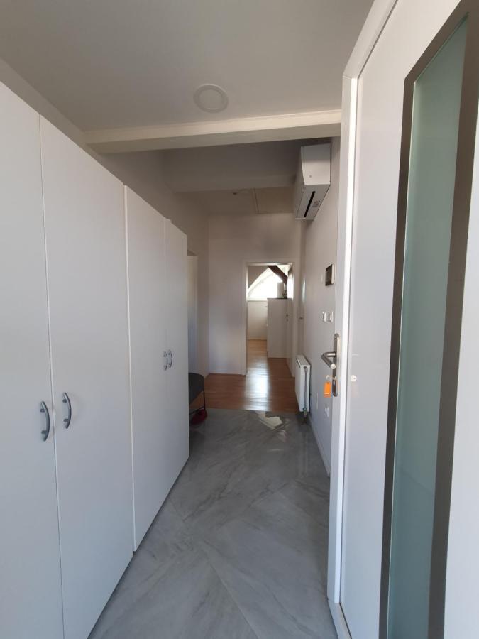 Charming Apartment Mila In Privat House With Free Parking Ljubljana Eksteriør bilde