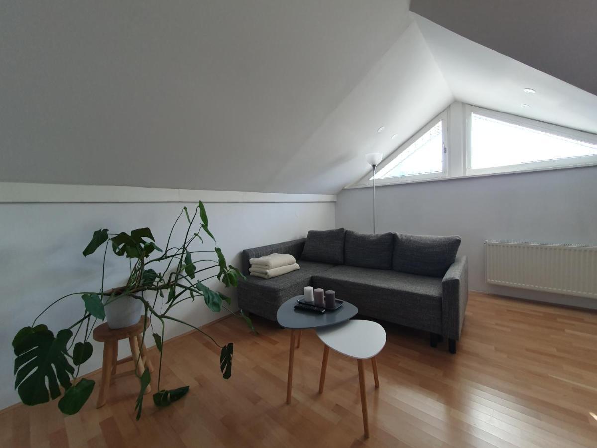 Charming Apartment Mila In Privat House With Free Parking Ljubljana Eksteriør bilde