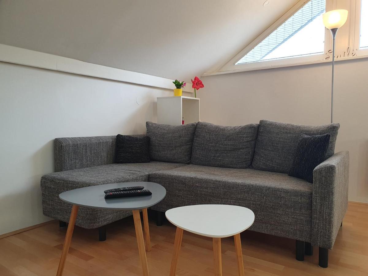 Charming Apartment Mila In Privat House With Free Parking Ljubljana Eksteriør bilde